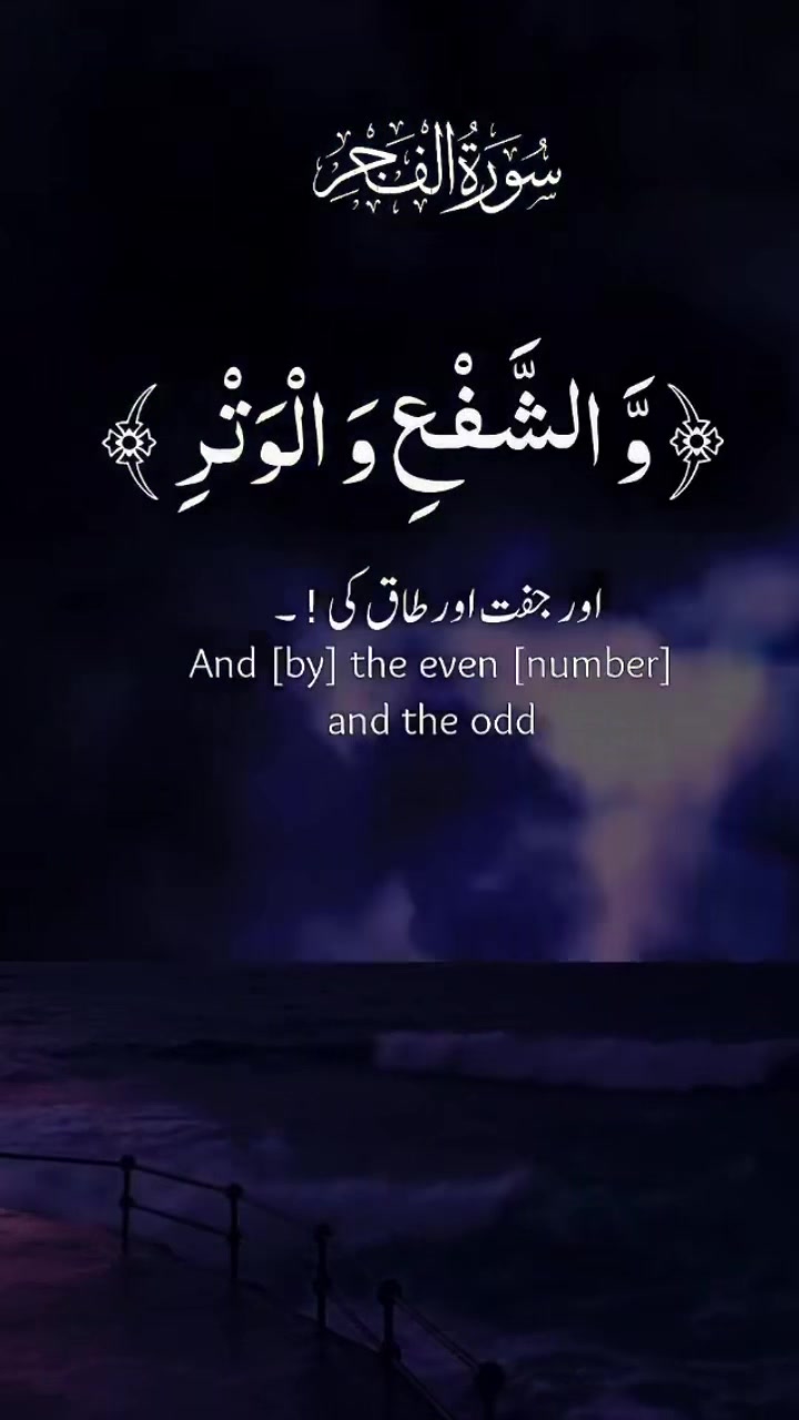 @humadawood🇨🇦