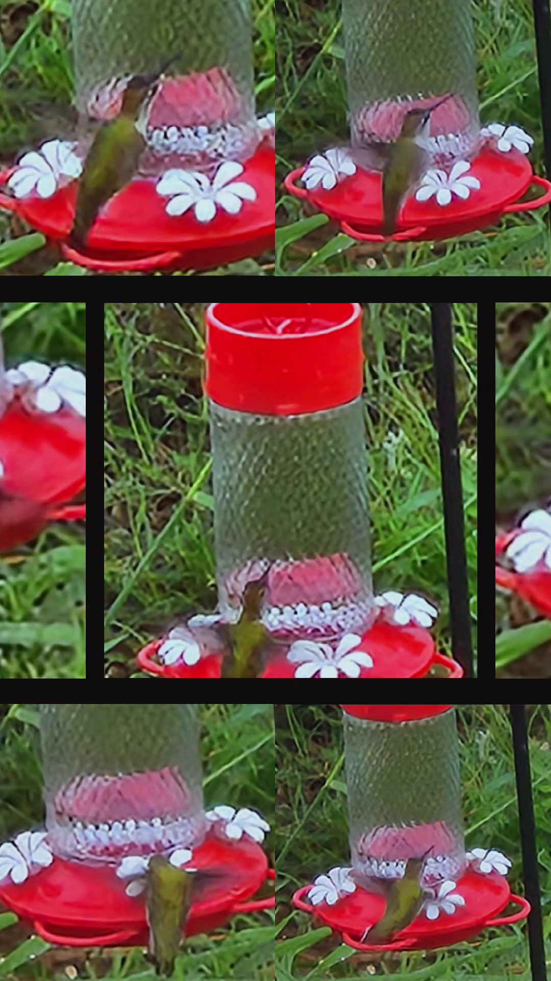 @🌺✨️Aide✨️🌺