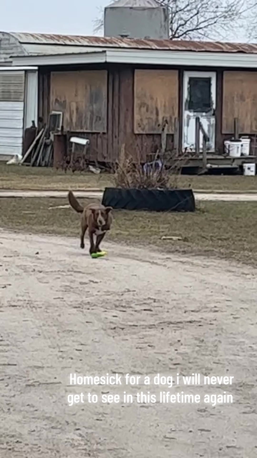 @Jmertinsfarm