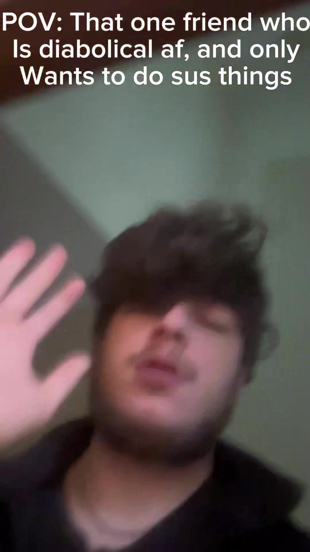@willybobvidss