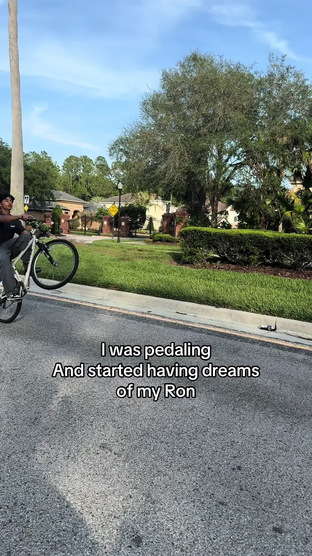 @s1wheelonly