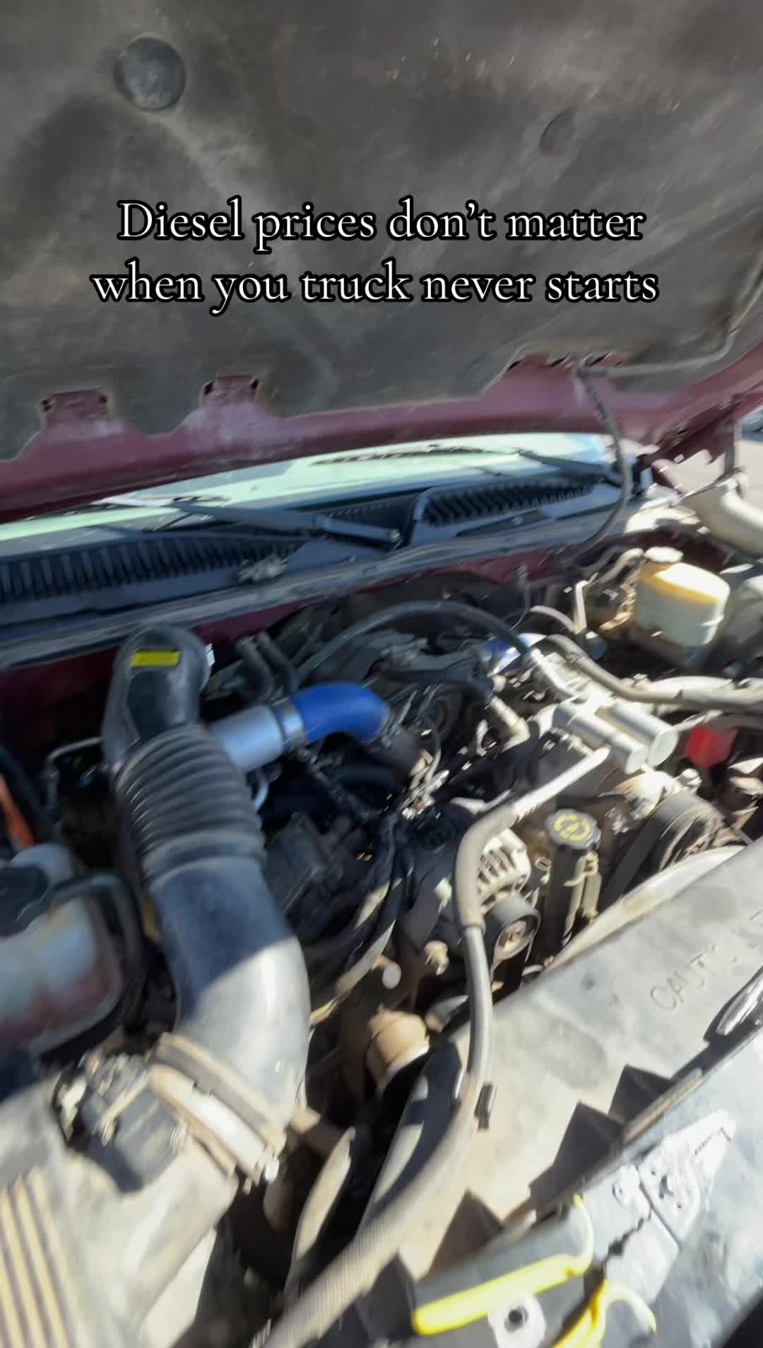 @LsX_Porter