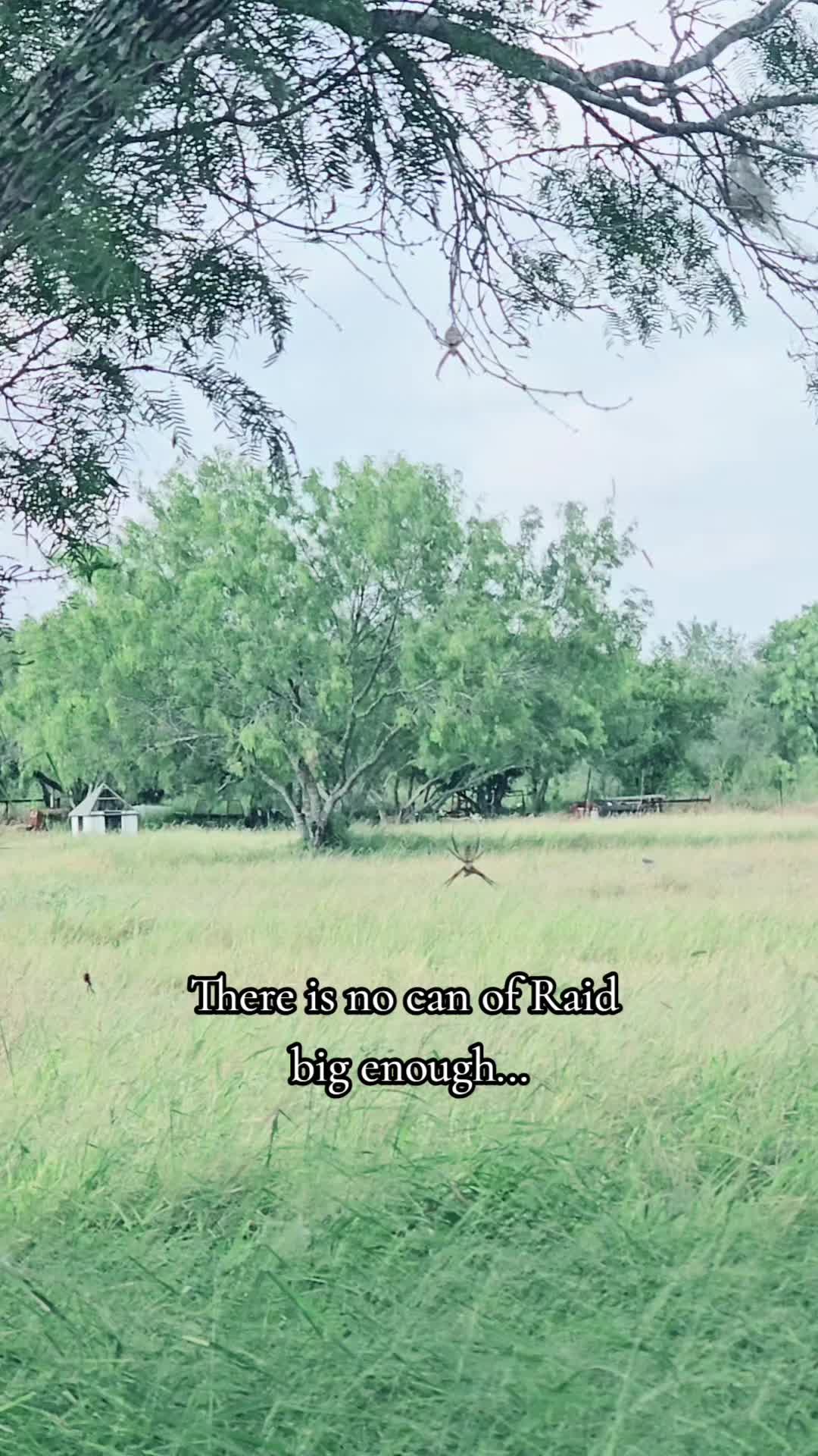 @B