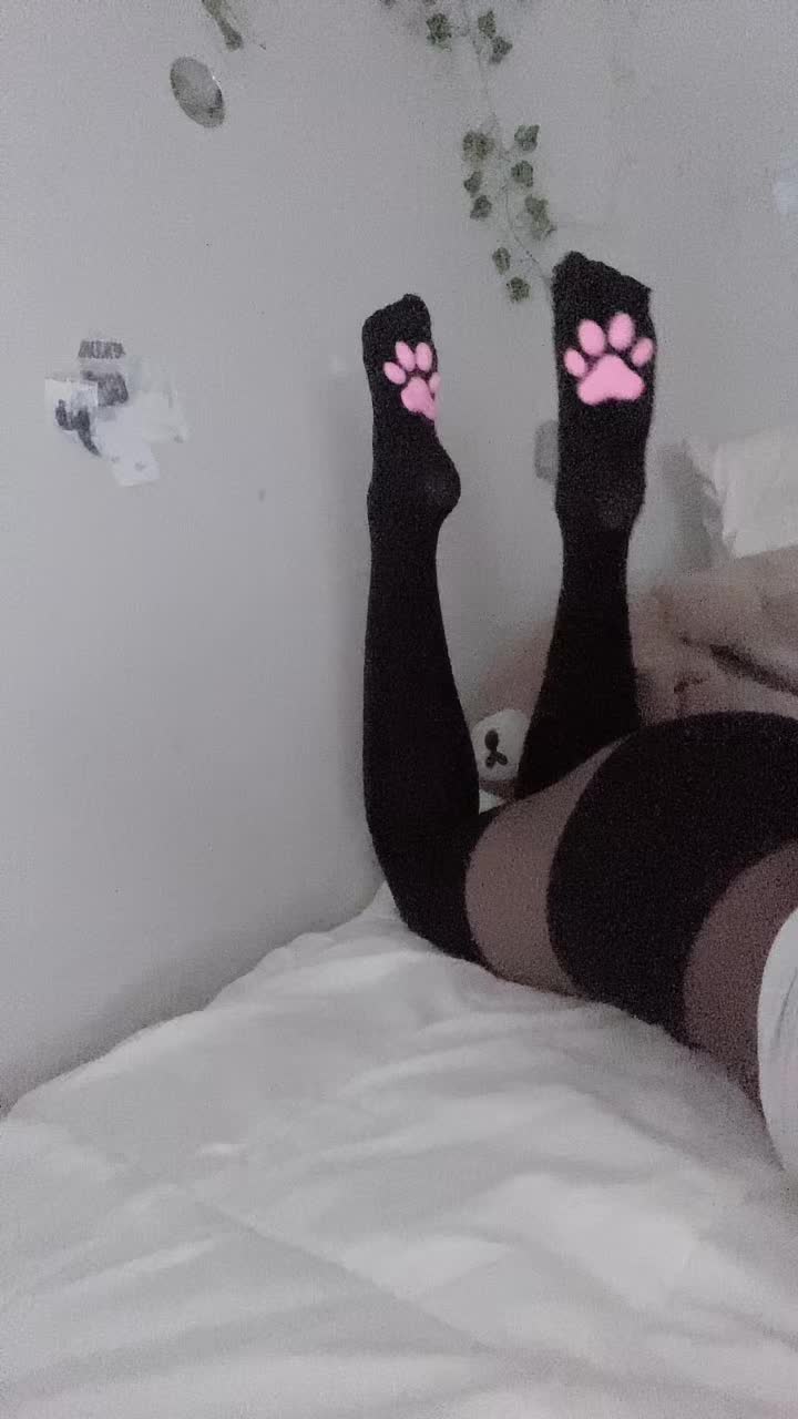 @Luvkitty