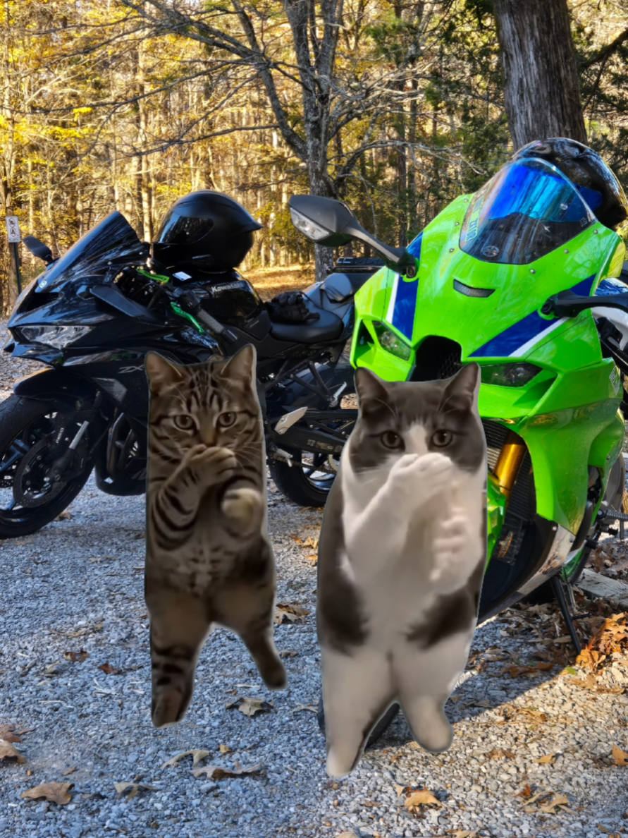 @Dat1_zx10r