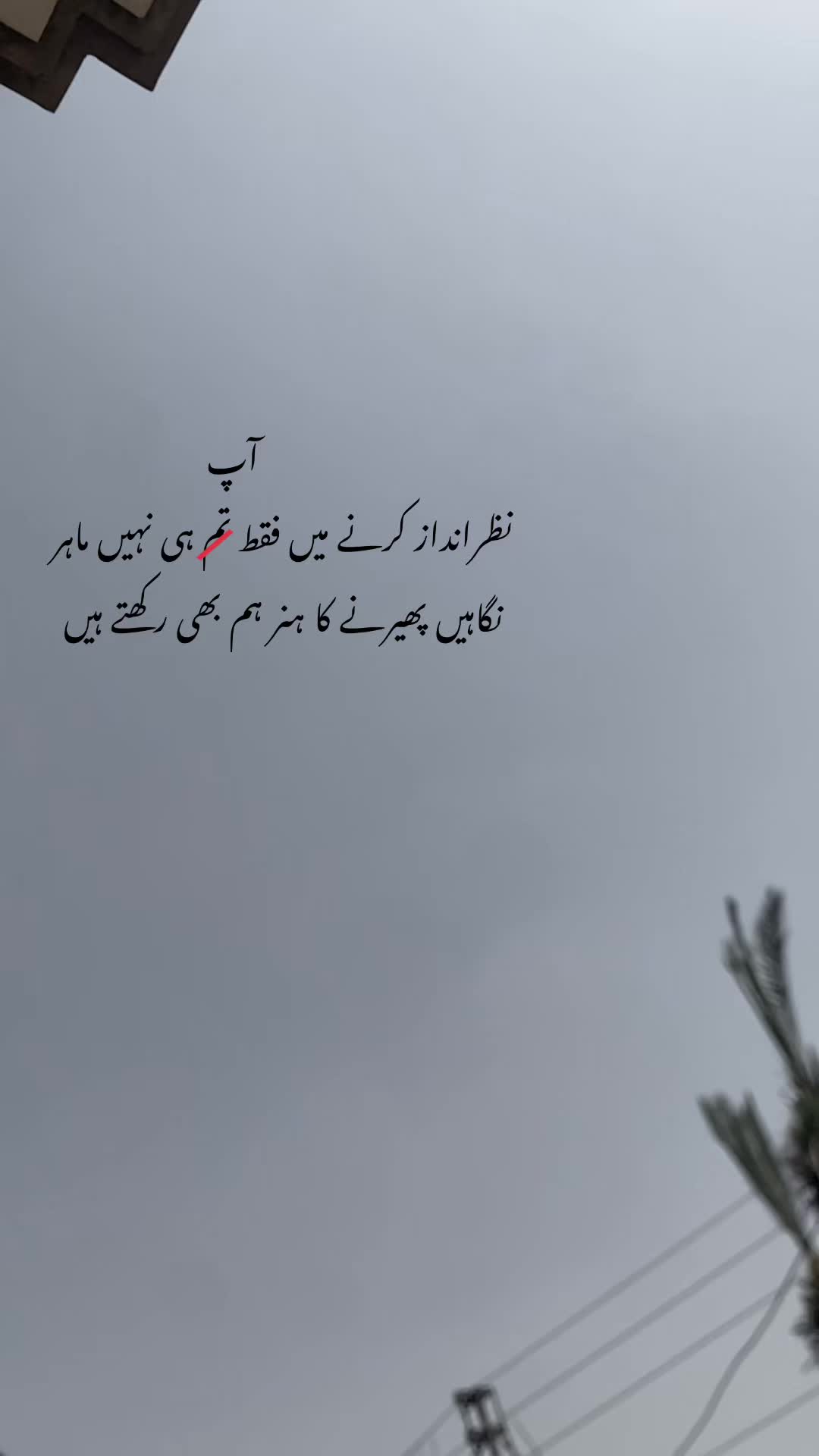 @ℍ𝕒𝕤𝕟𝕒𝕚𝕟_𝕨𝕣𝕚𝕥𝕖𝕤❤🩹