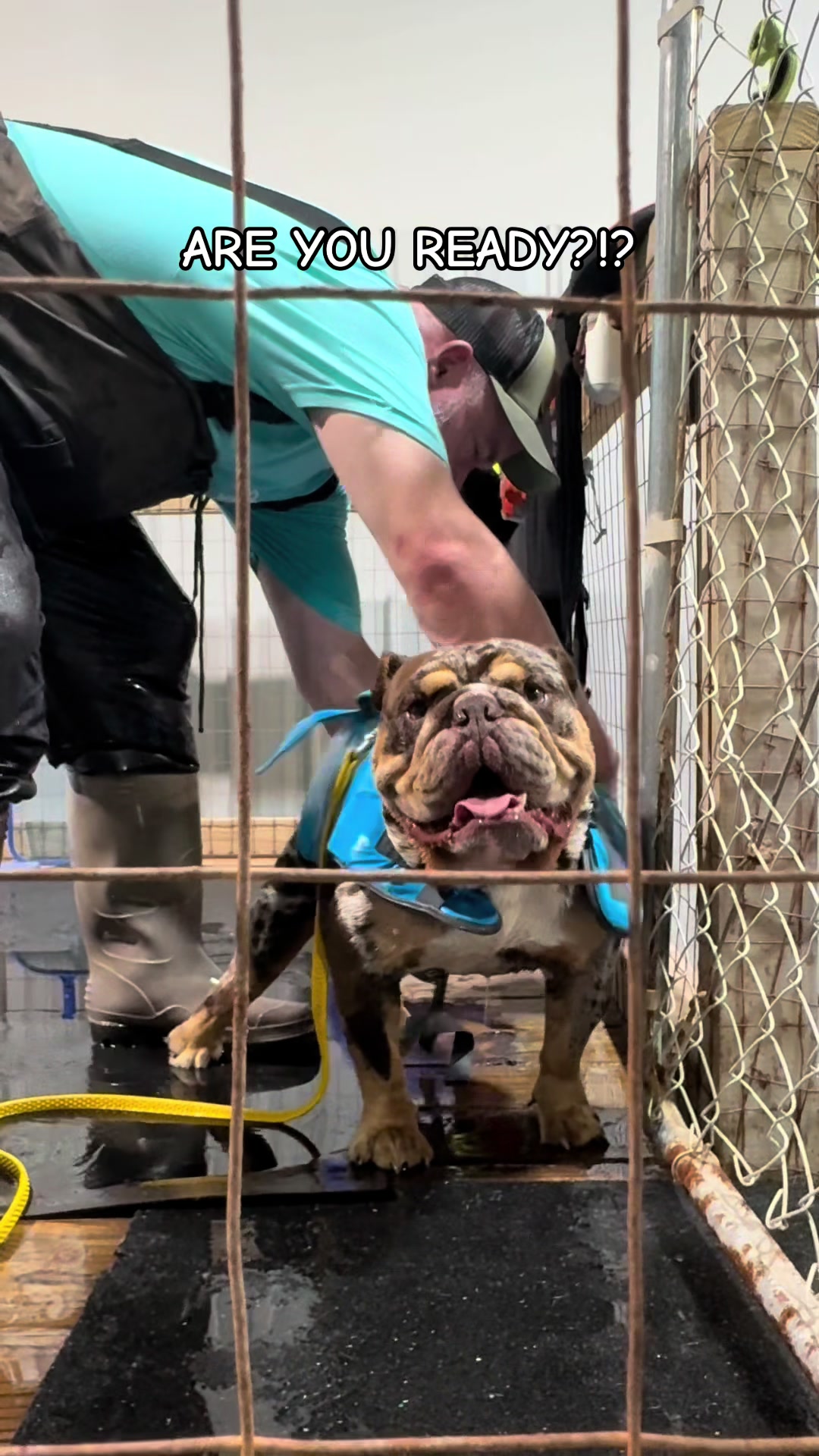 @barkleythabulldog