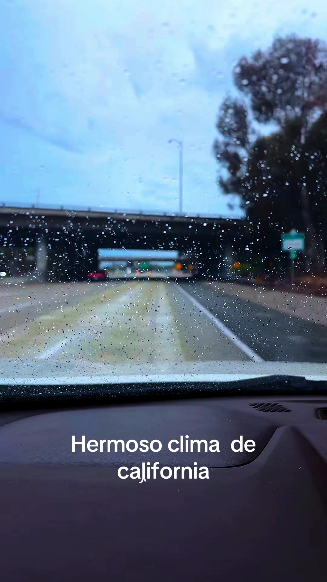 @Mariana Arroyo….