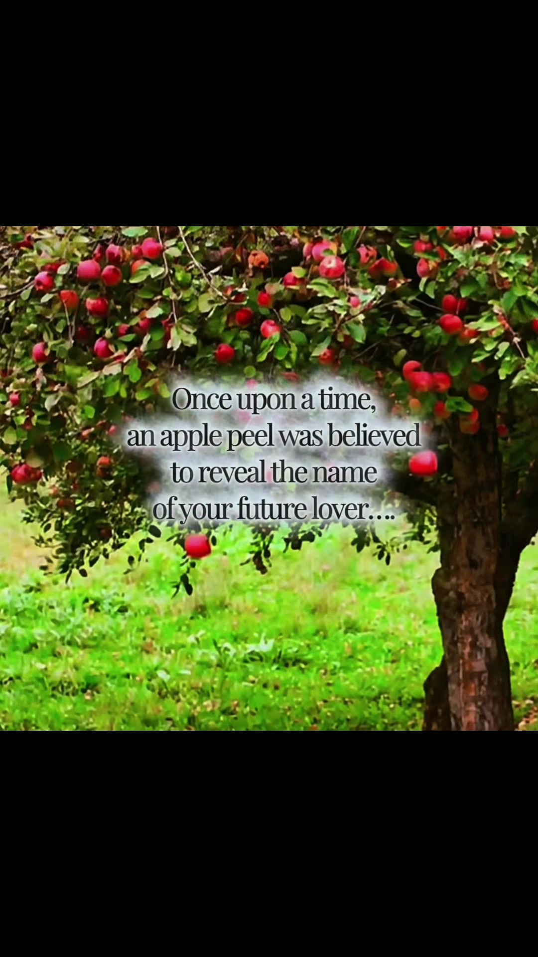 @Jasmin | A Rooted Life