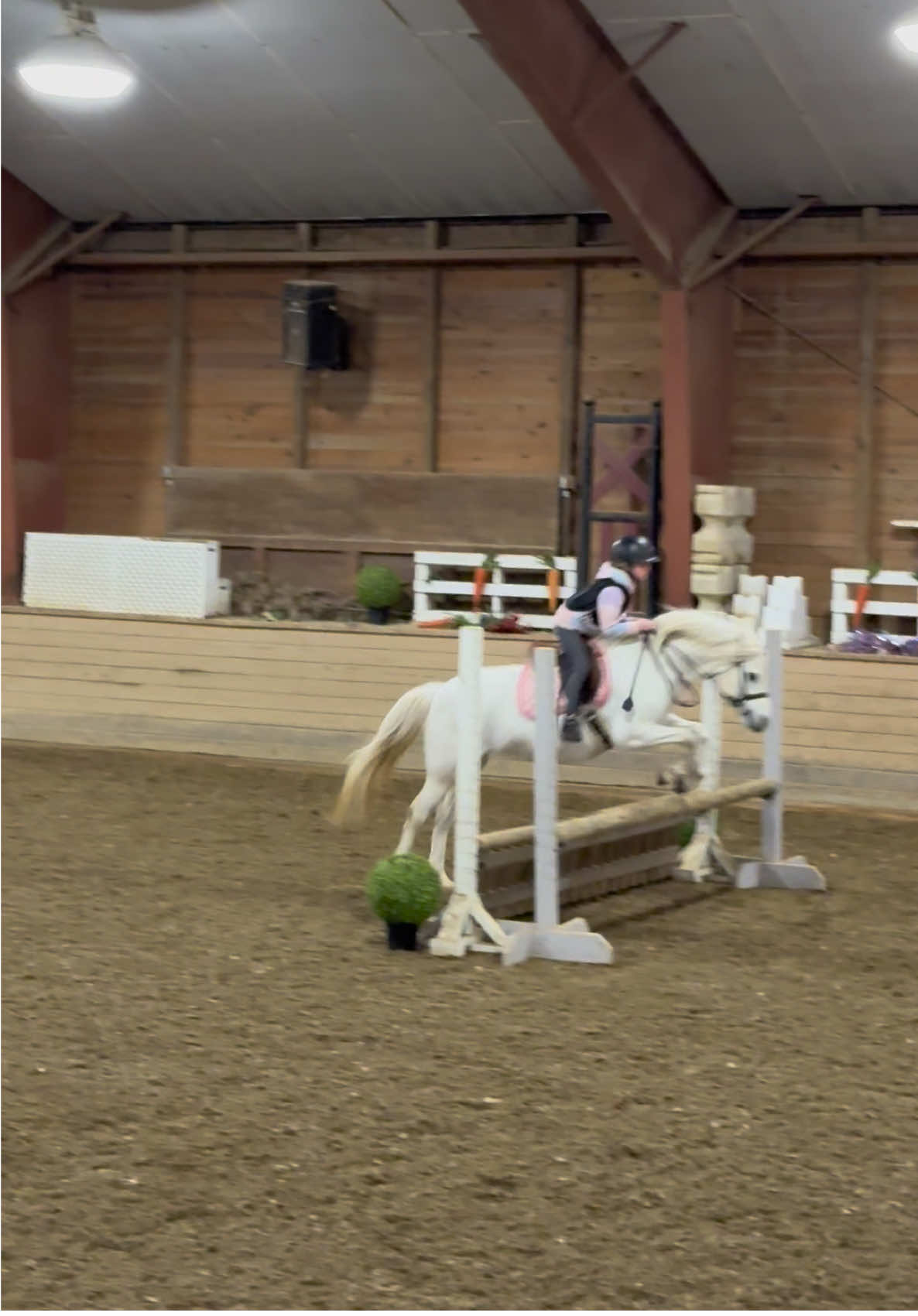 @ckponies
