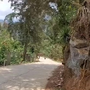 @la pantera 999☠️