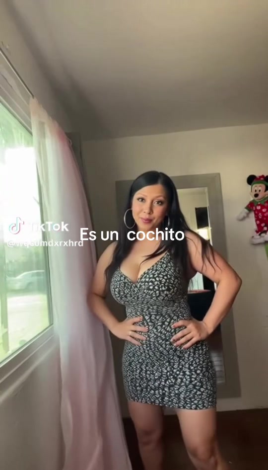 @lapalomachicana1
