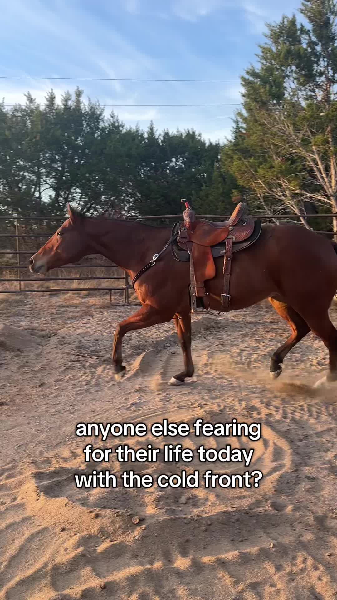 @Robin