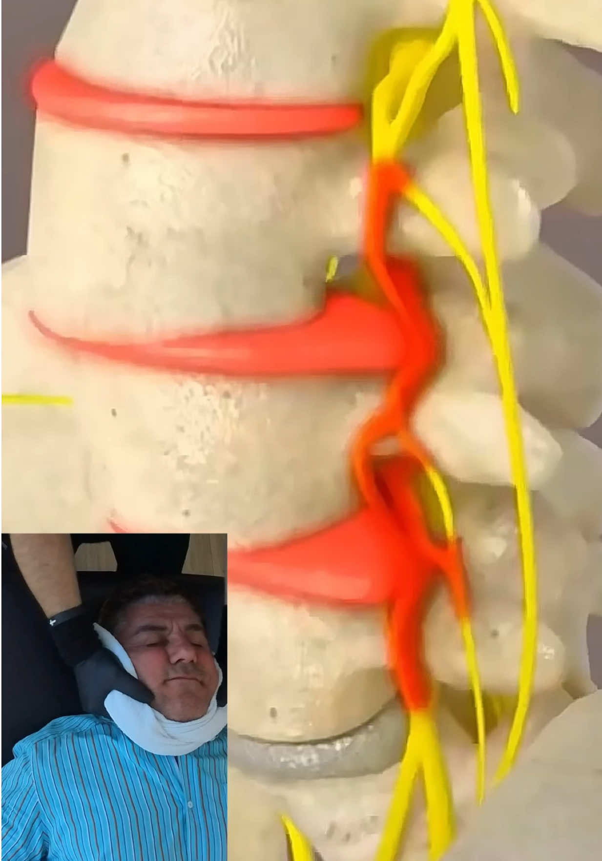 @Caponio Chiropractic Inc