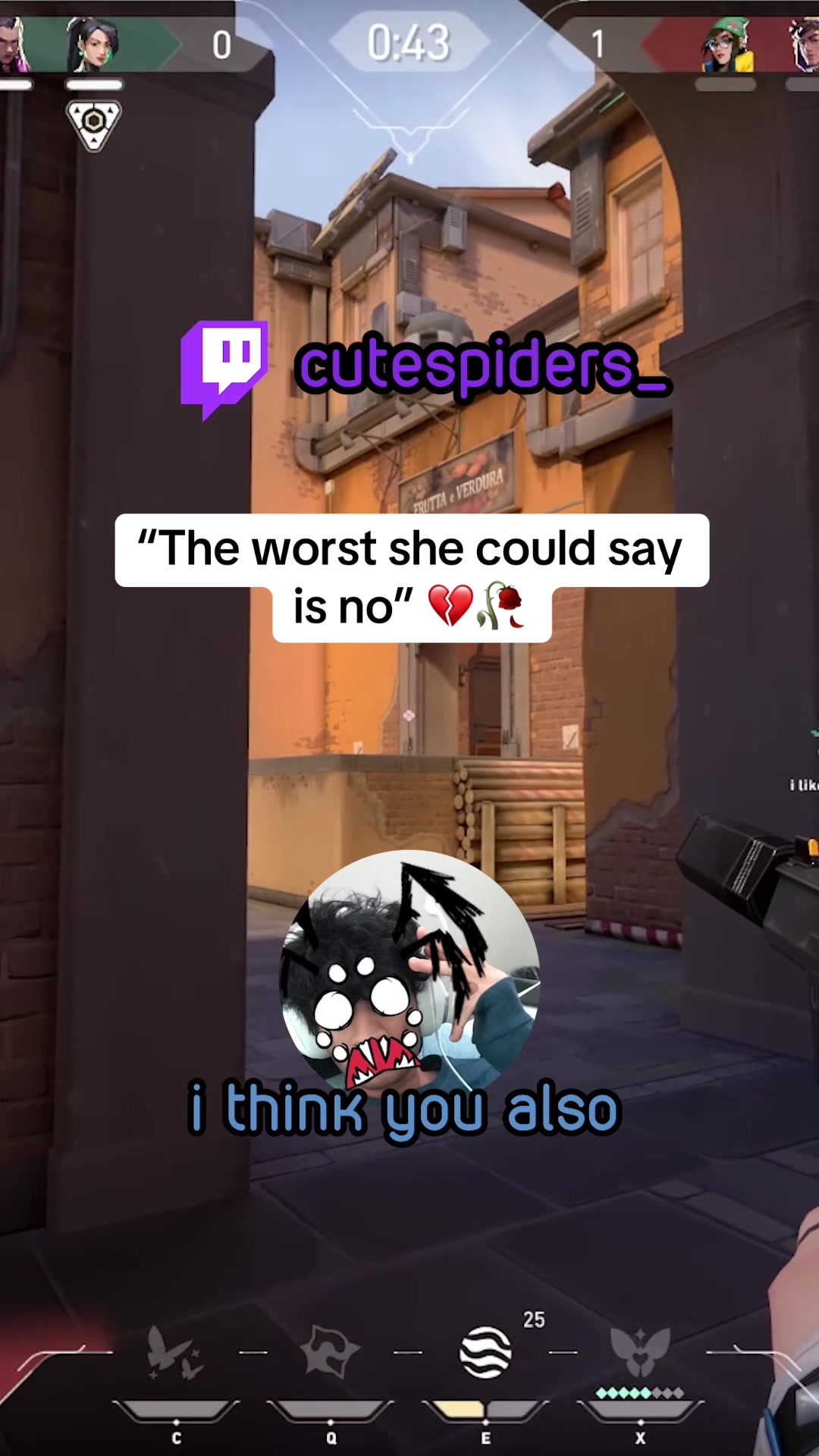 @cutespiders 🕷️🕸️