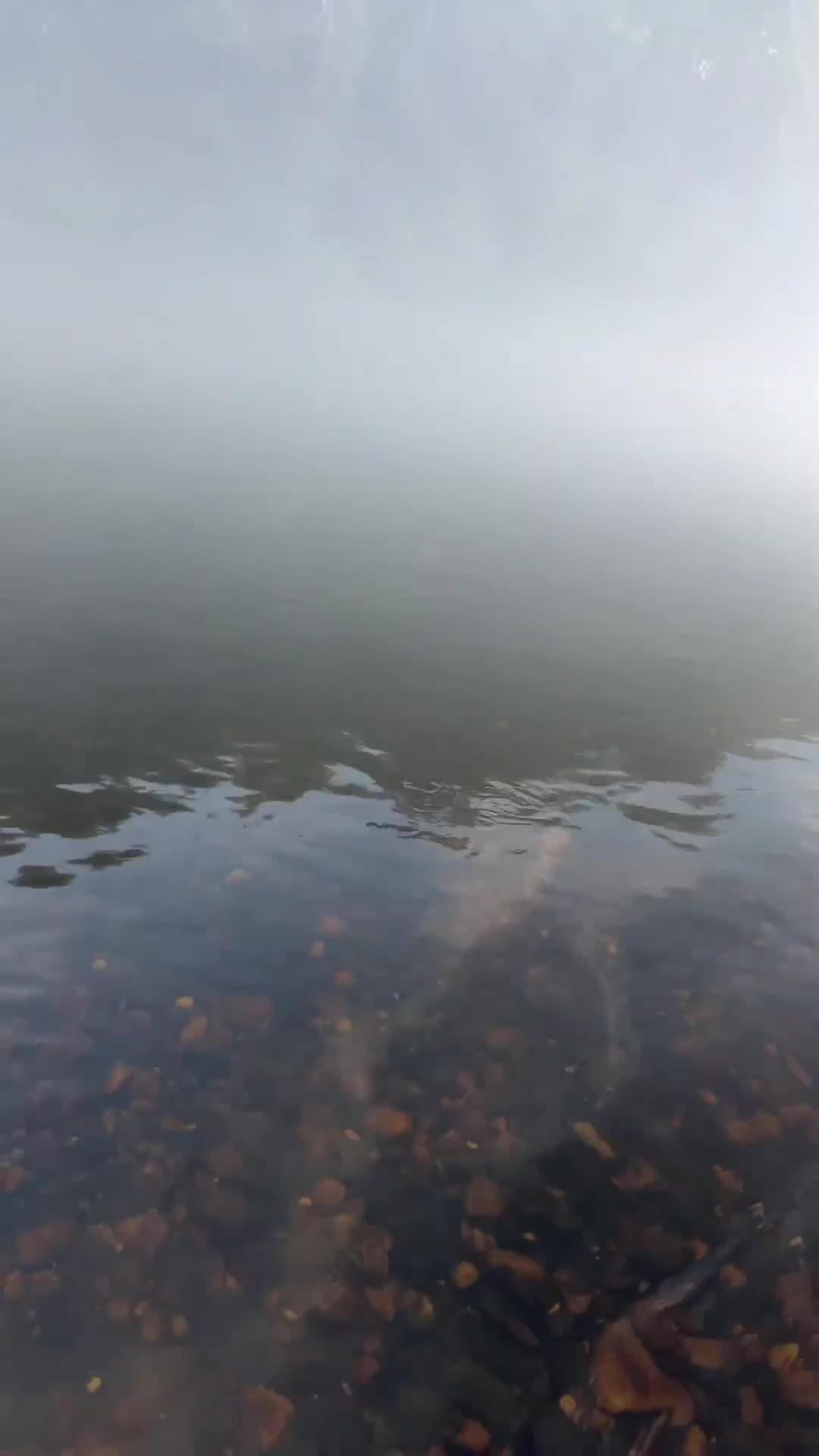 @LOVELACE 🎣