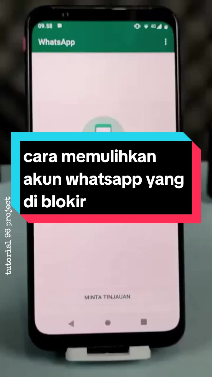 @Mas RiCo Cobra