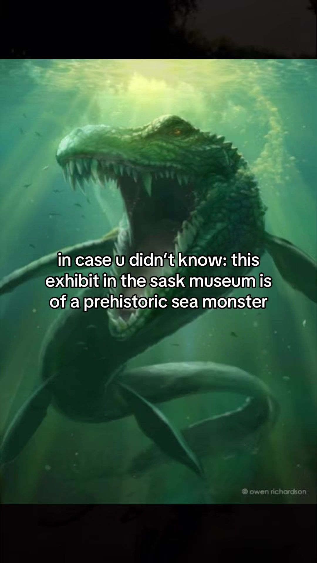 @𝗦𝗮𝘀𝗸 𝗚𝘂𝘆