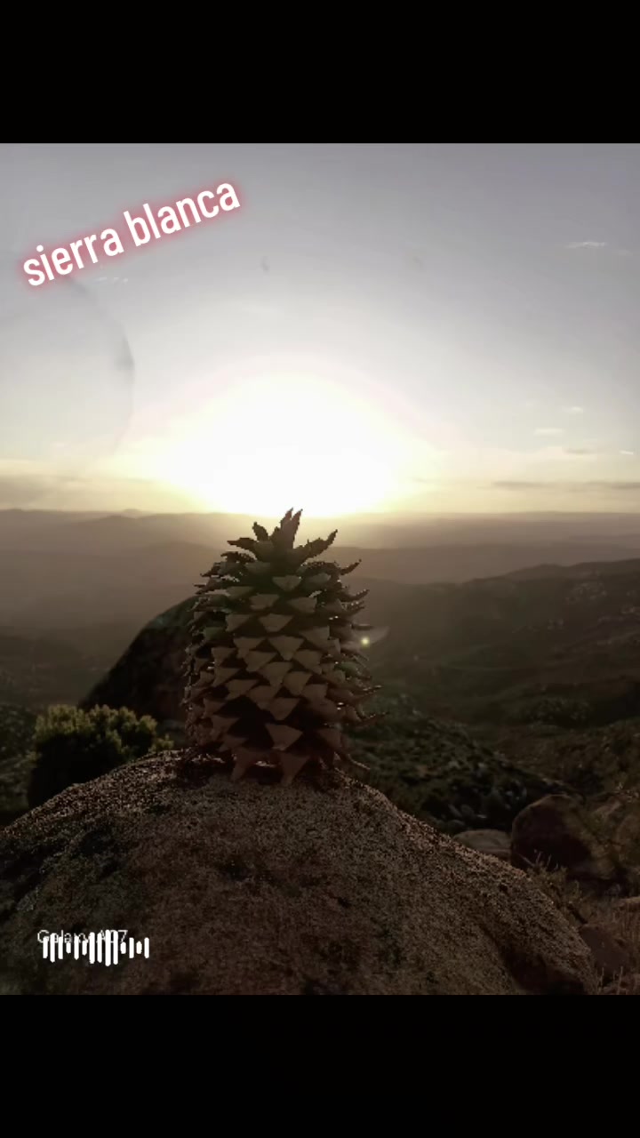 @EZcorpio ๐