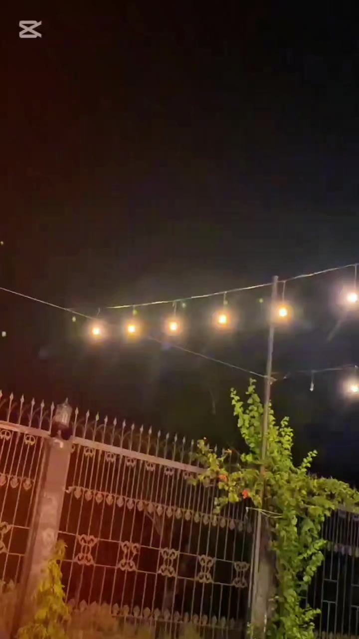 @سید عالیان شیرازی ❤️🔥🍁