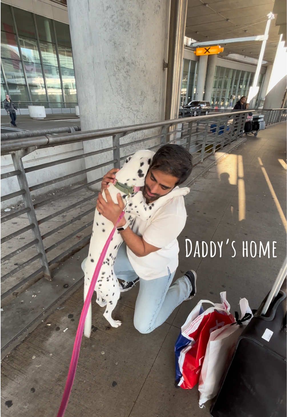 @Nevada the Dalmatian