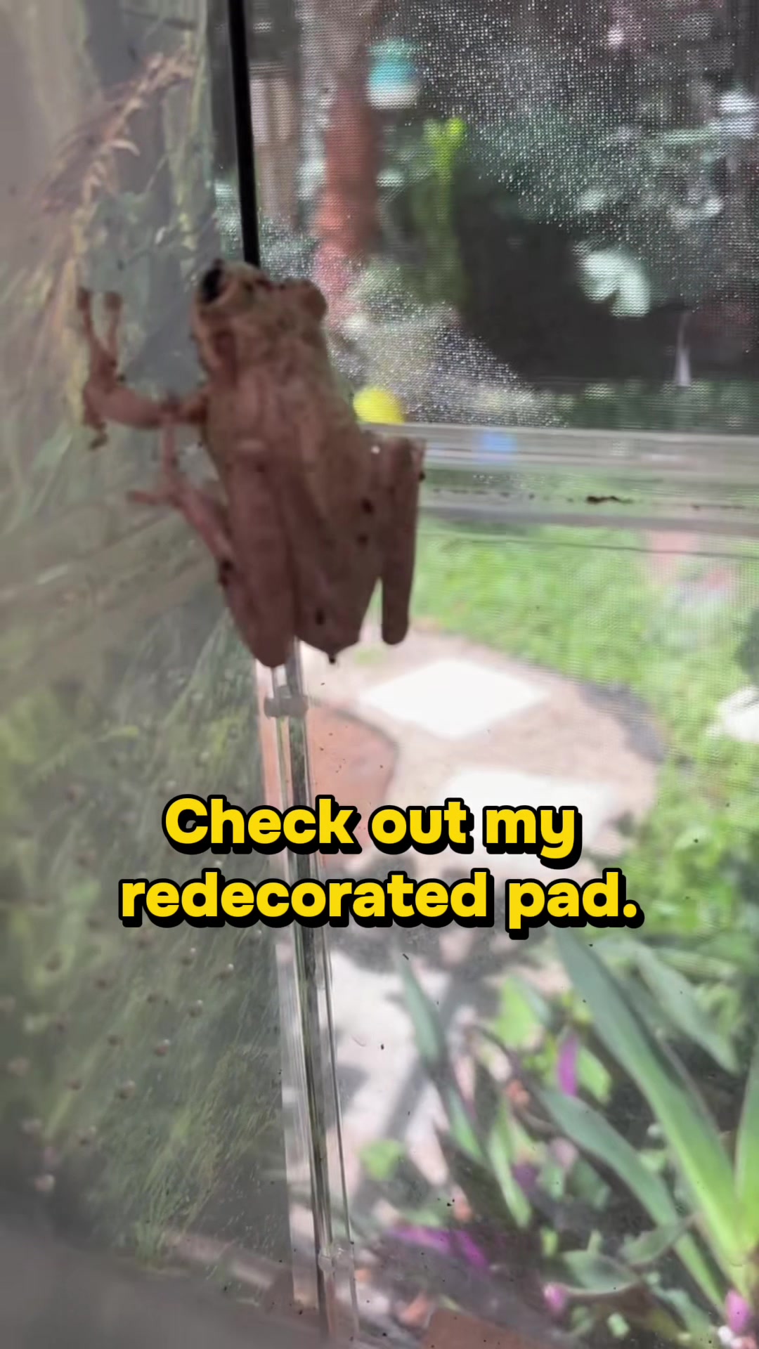 @originalSinkfrog