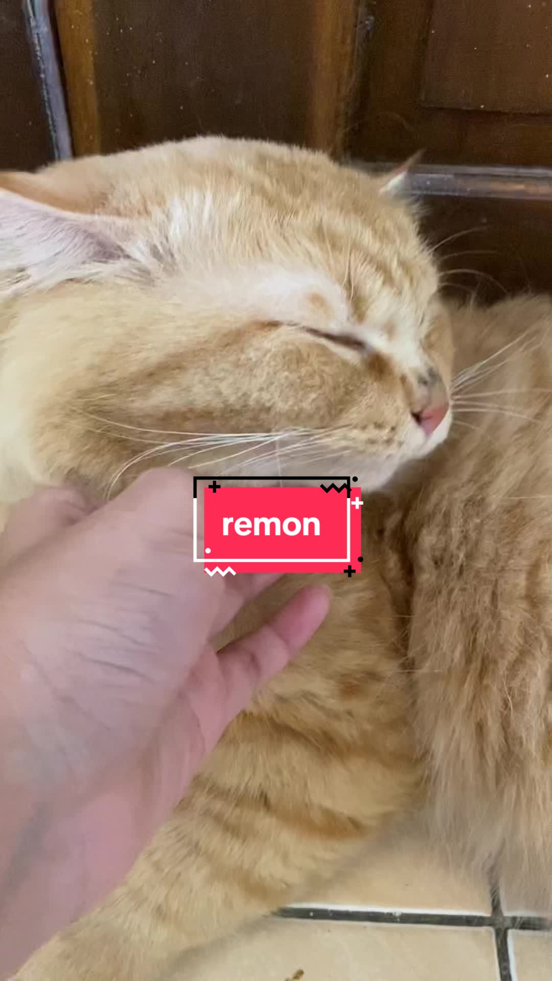 @unothemaincoon