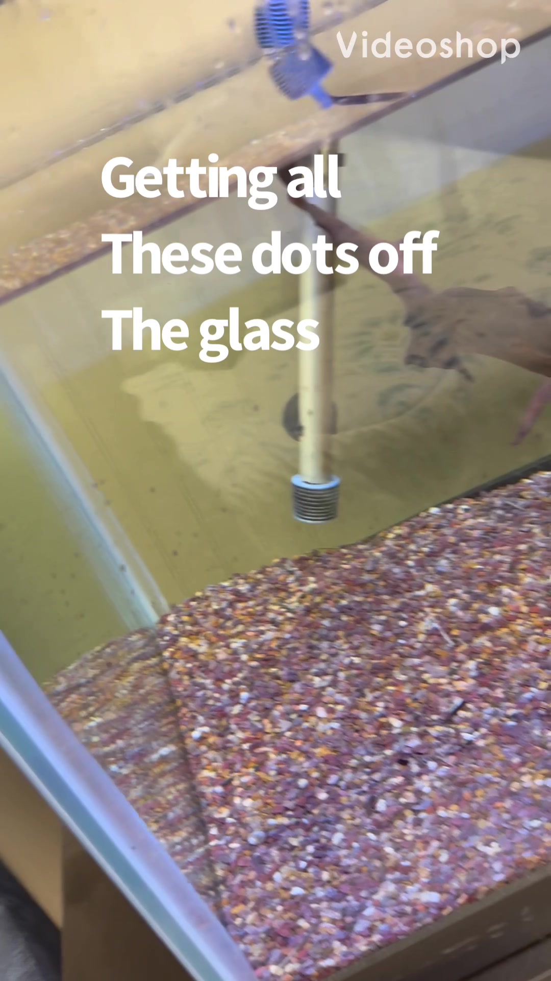 @fishdaddy2002