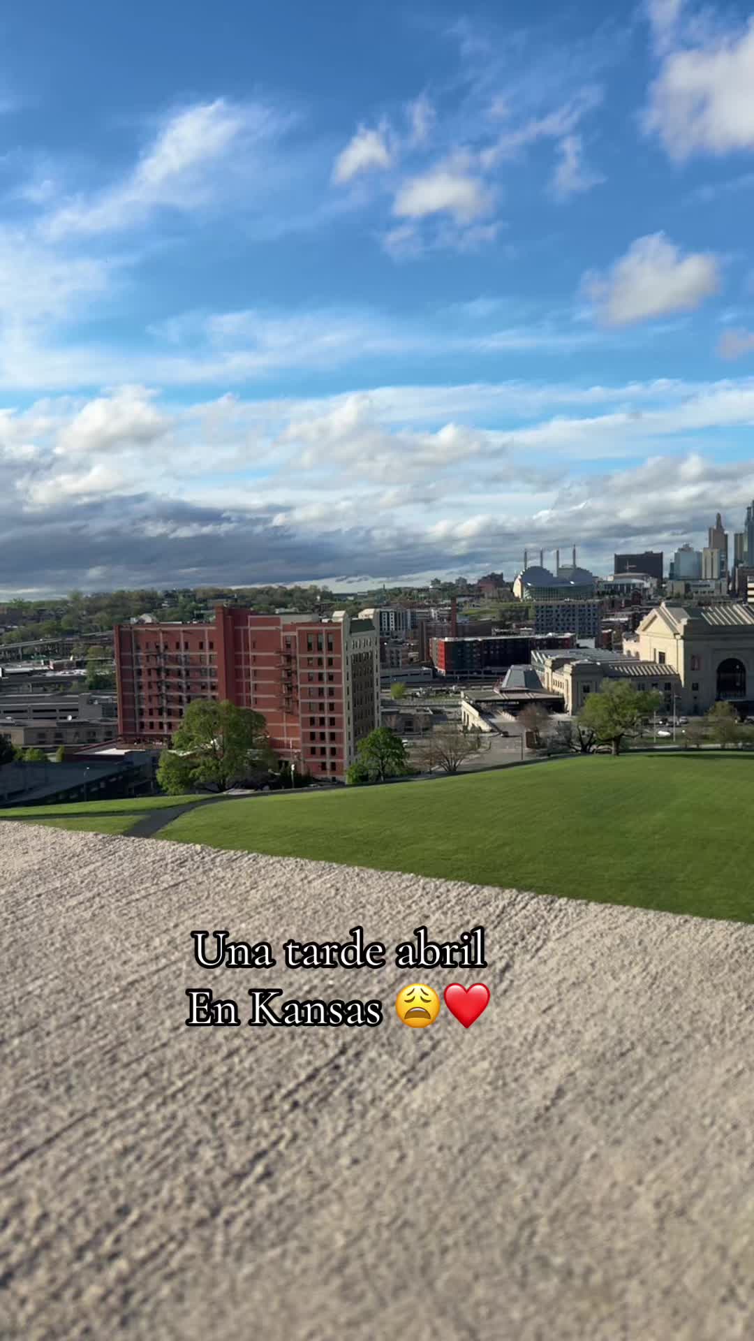 @M🌸