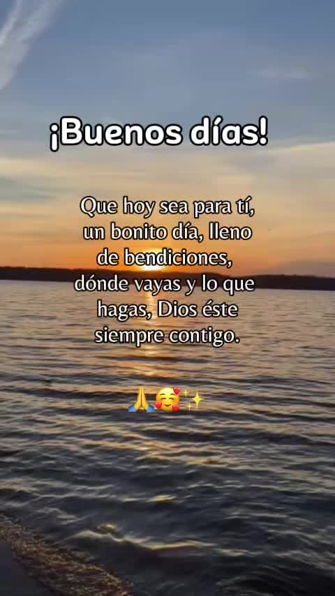 @Zoila✨🦋