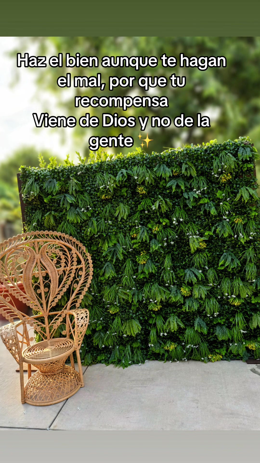 @La Nayi
