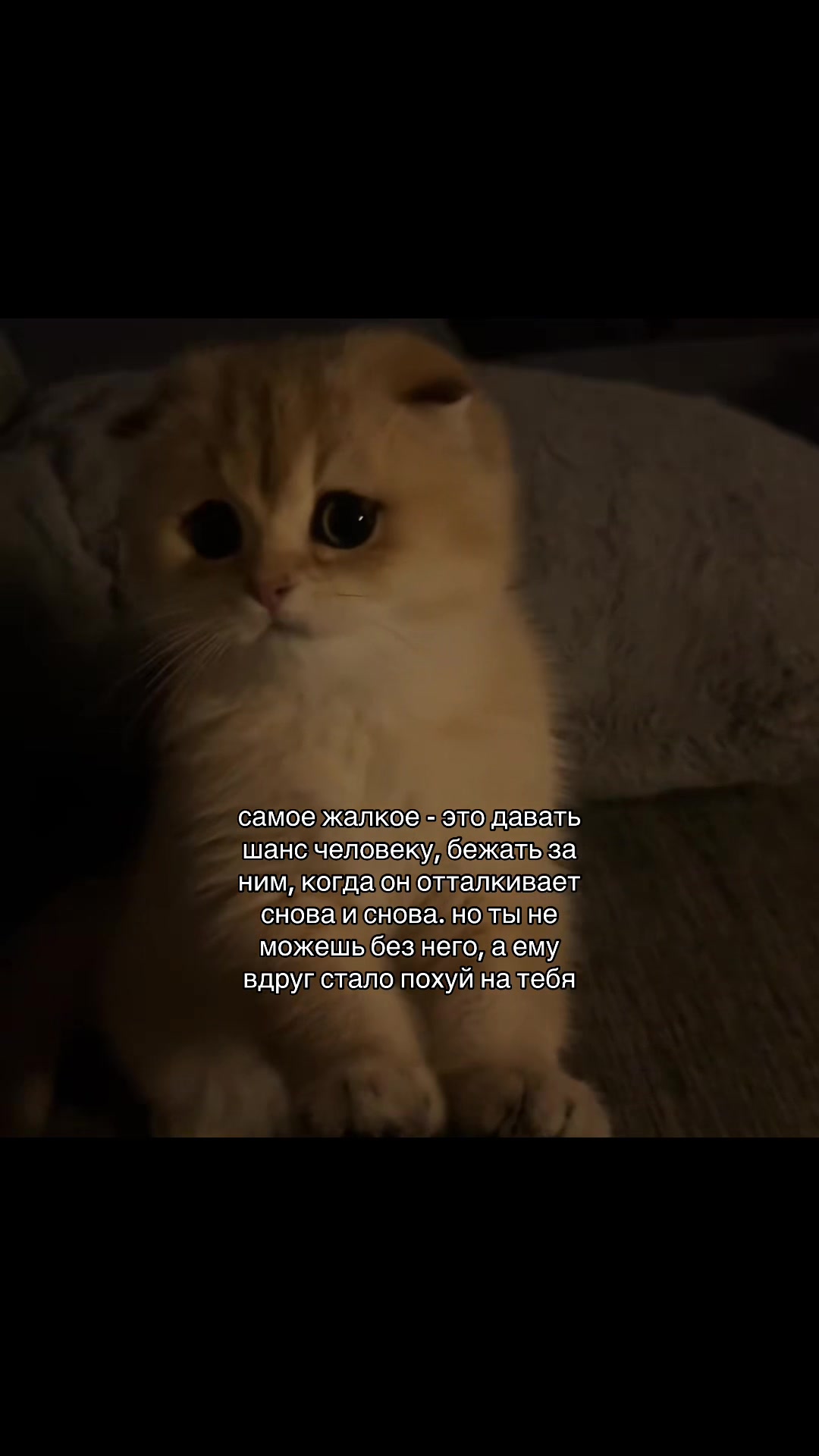 @осколки прошлого