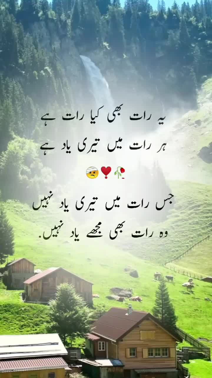 @Soul Mate 🖤