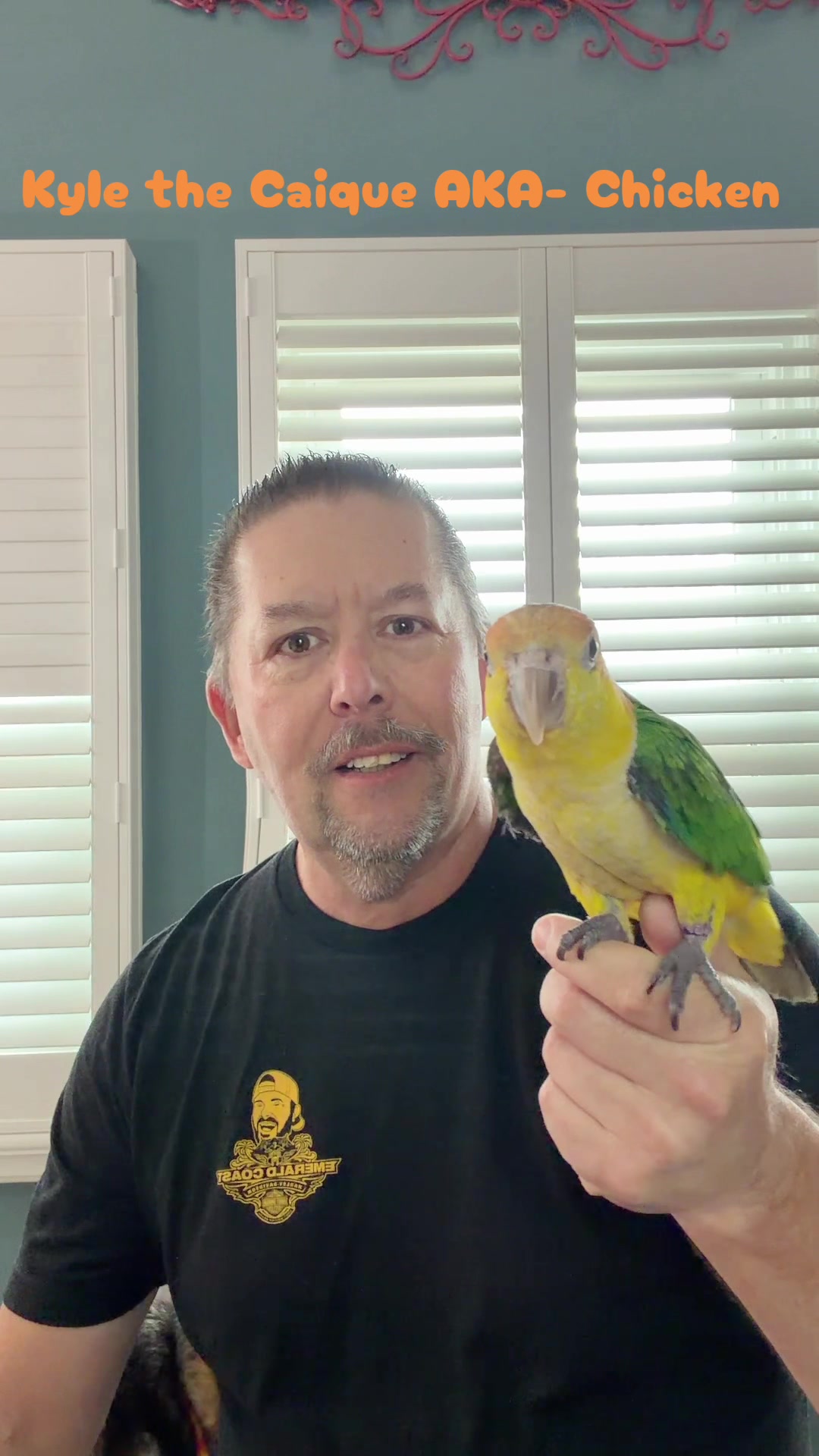 @Kyle The Caique
