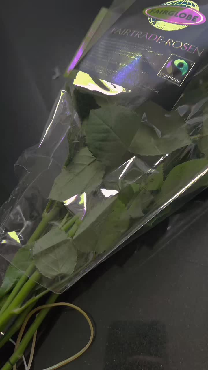 @sahar1342