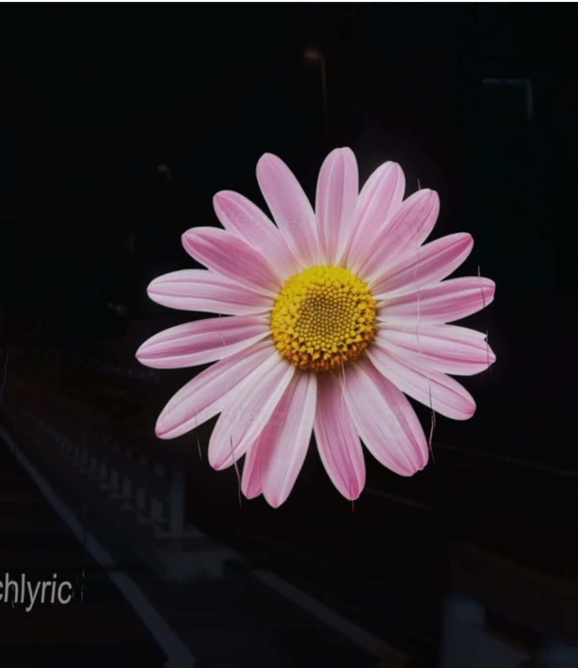 @sketchlyric🎧