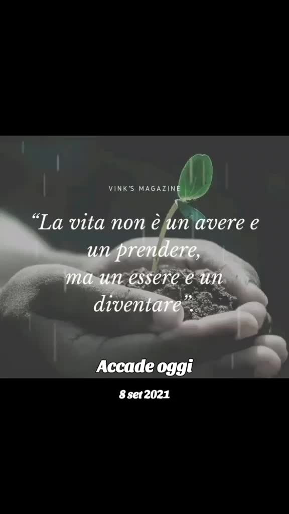 @Sally Davìd