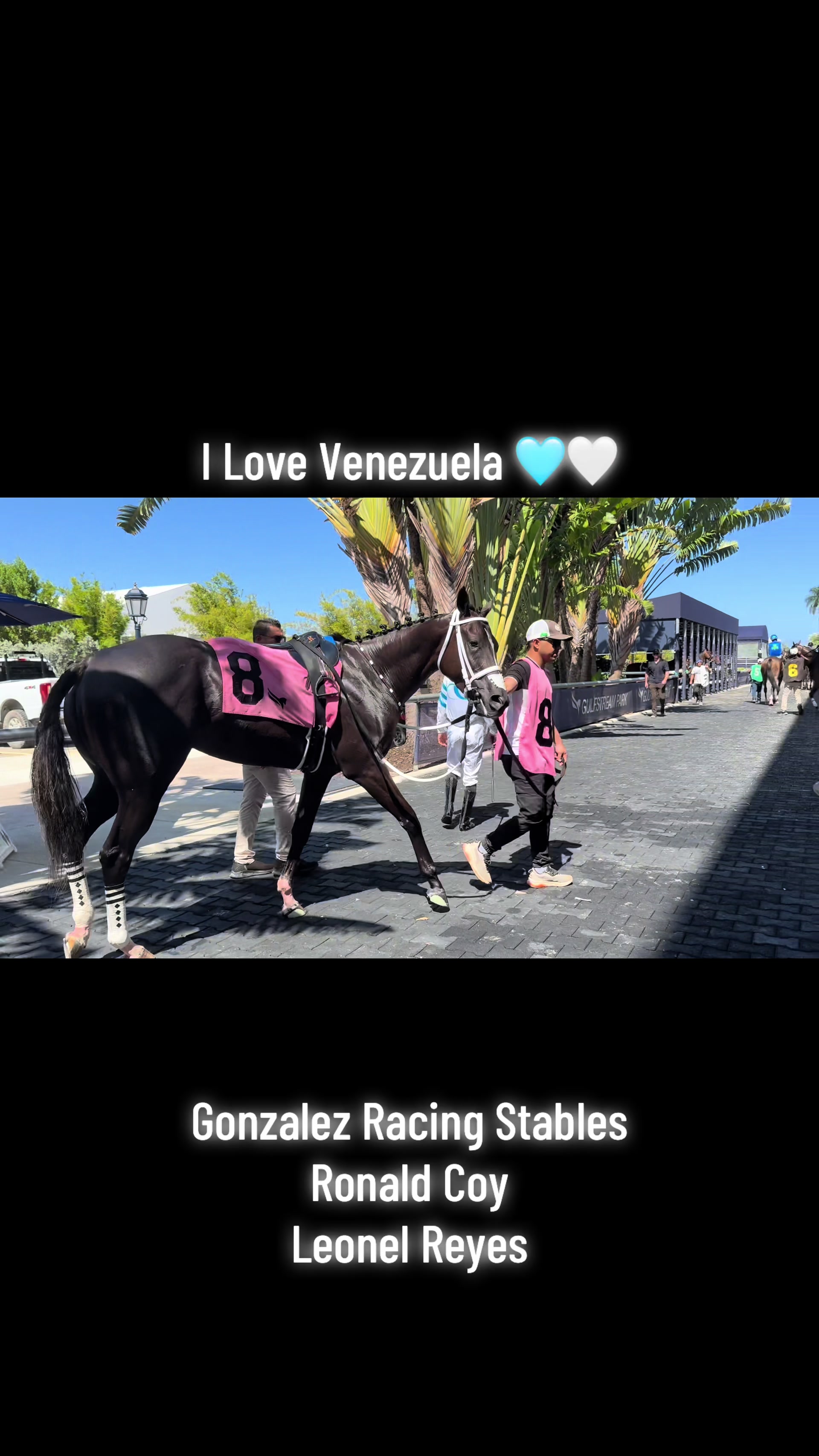 @gonzalezracingstables