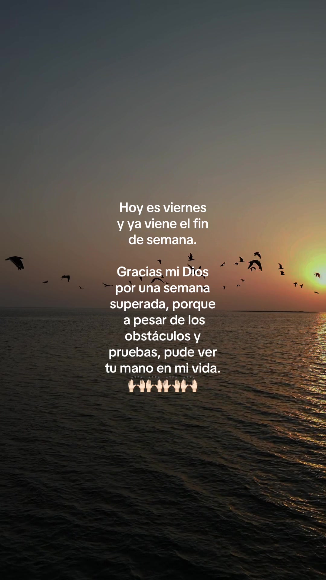 @thaniaSayegh💫frases
