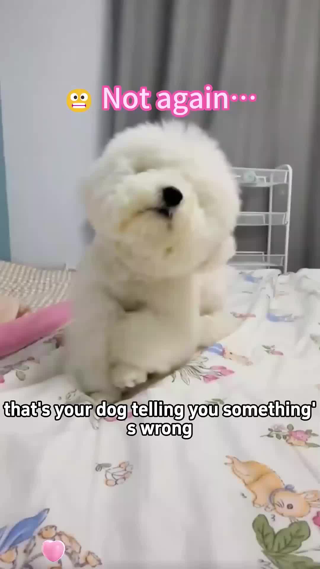 @cook00
