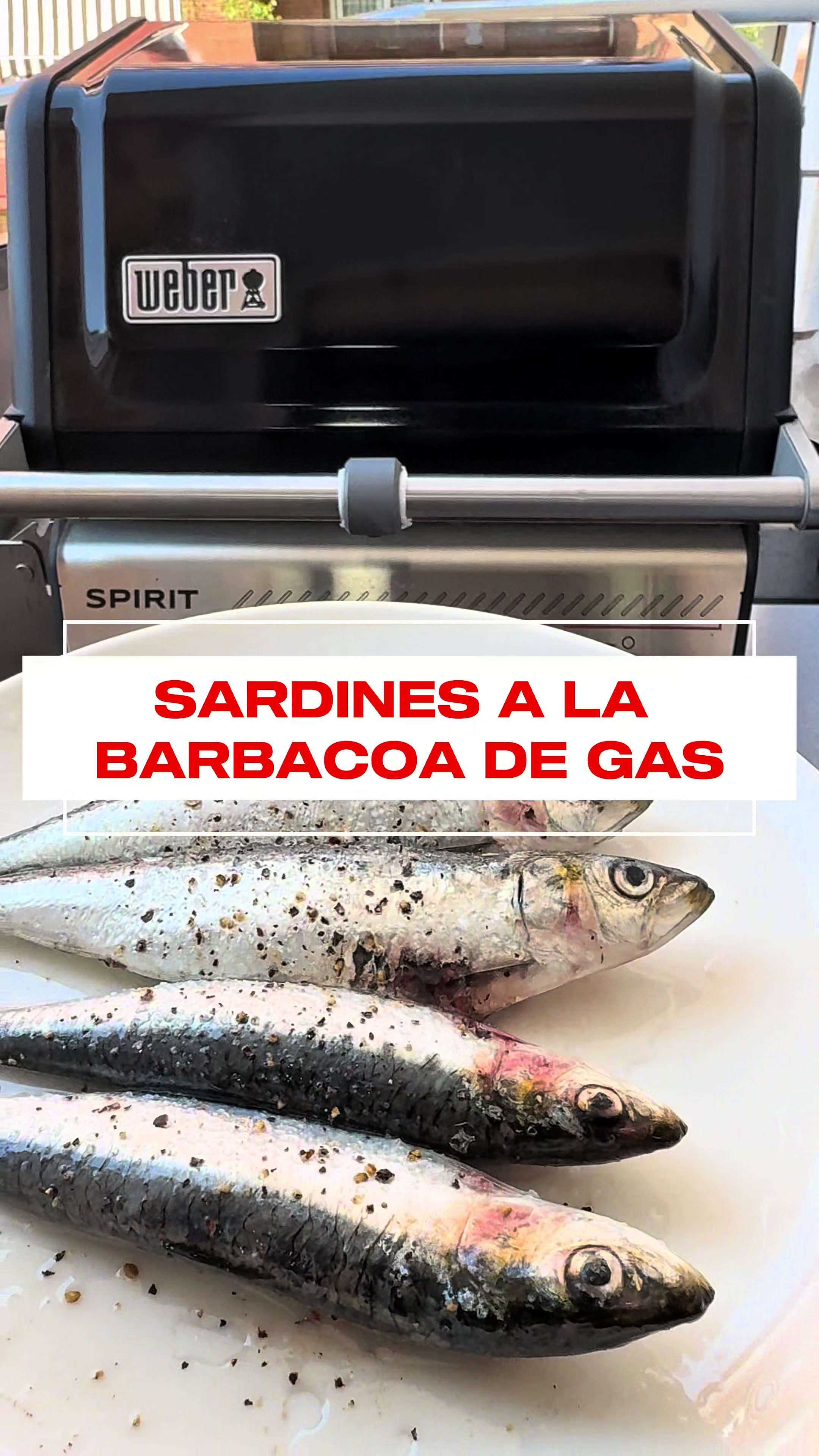 @BARBACOAS BARCELONA