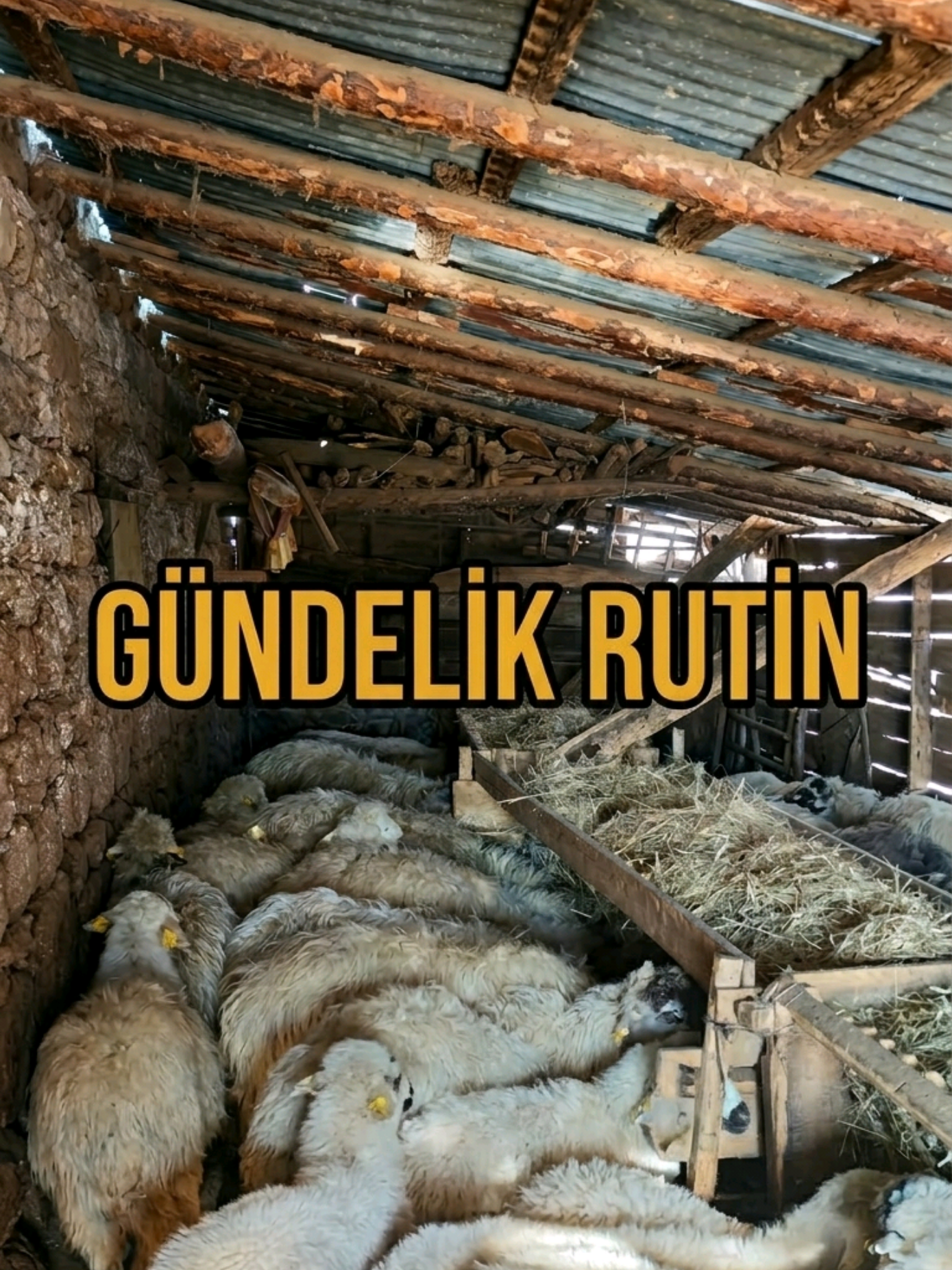 @Hüseyin URGAÇ