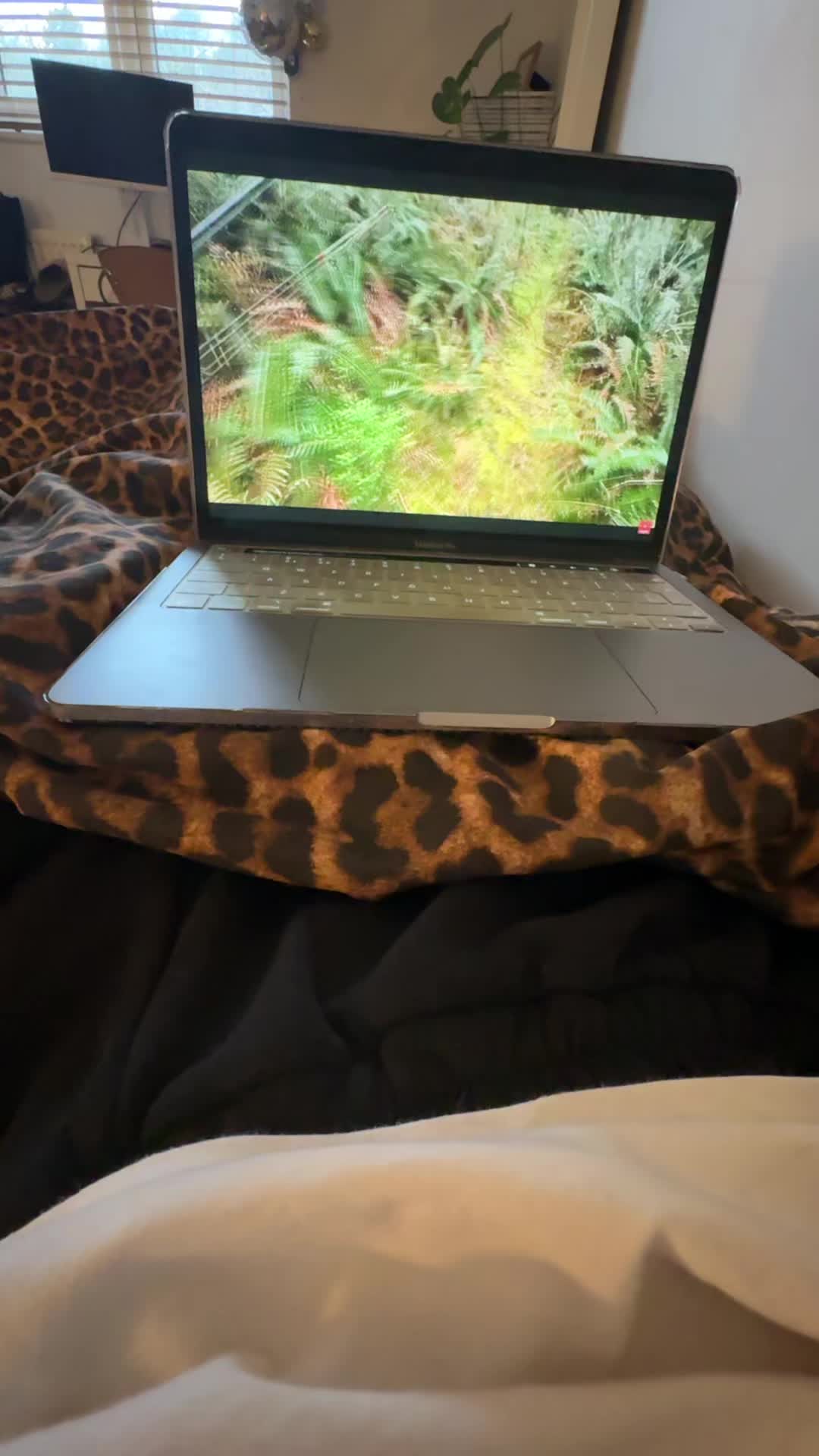 @ameliaaaa