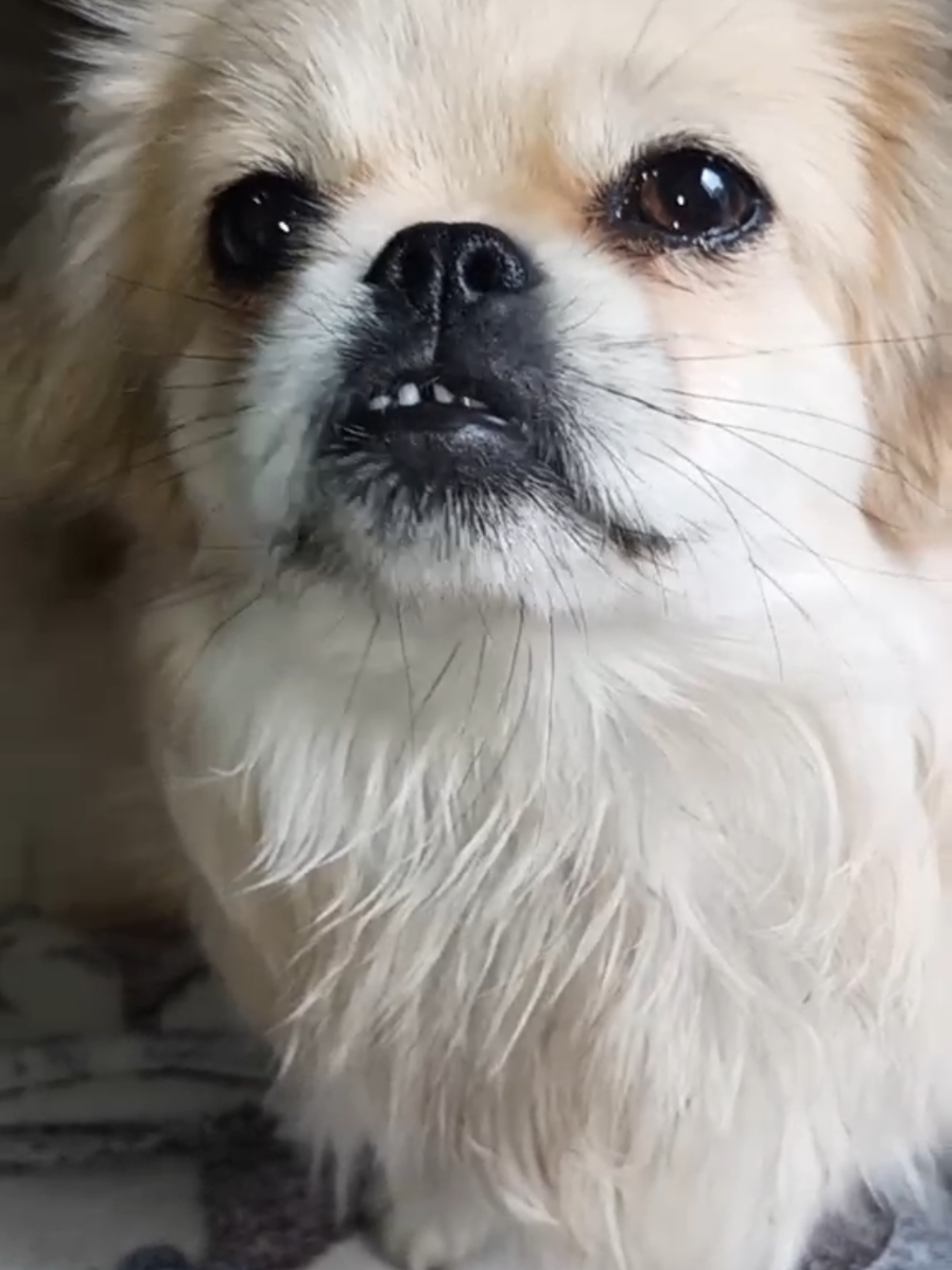 @Jacky_TikTok