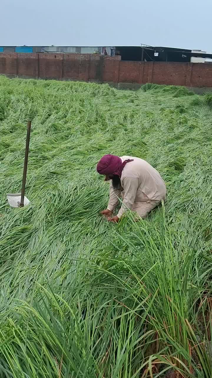 @Yeh Kali Kali ankhe 👀