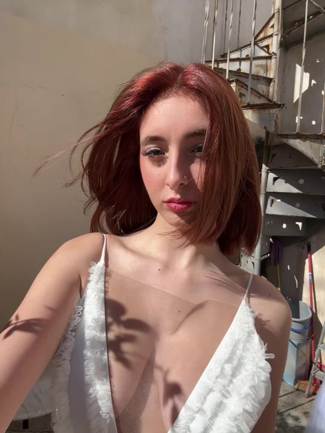 @🐆