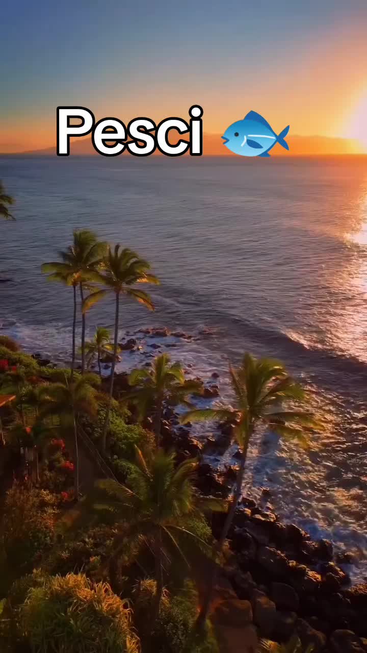 @24kamal2