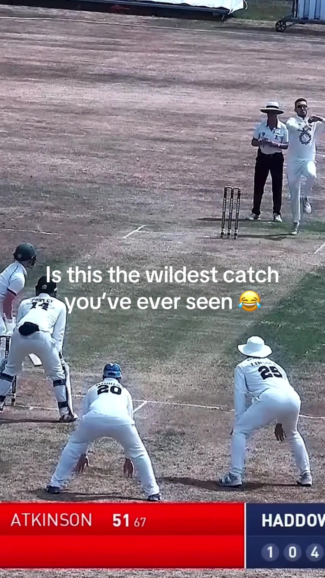 @Cricket District