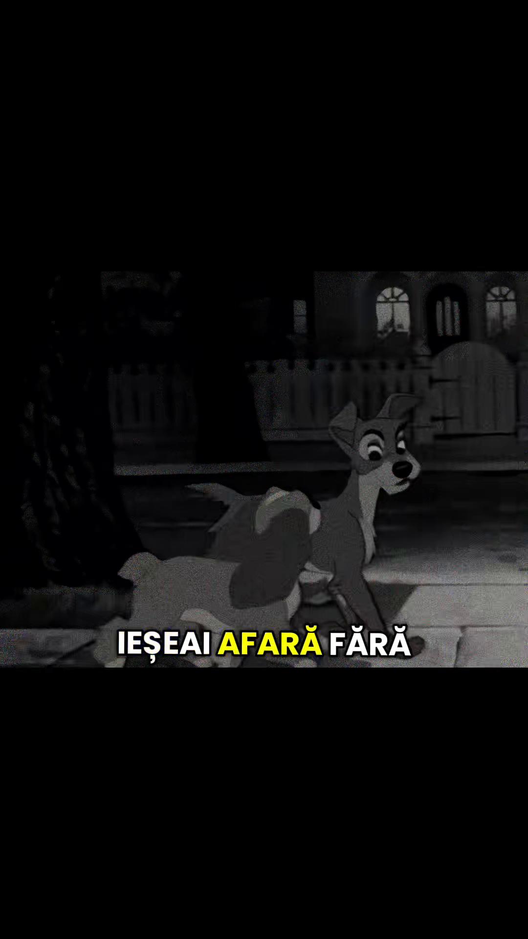 @sergiu_valentin6
