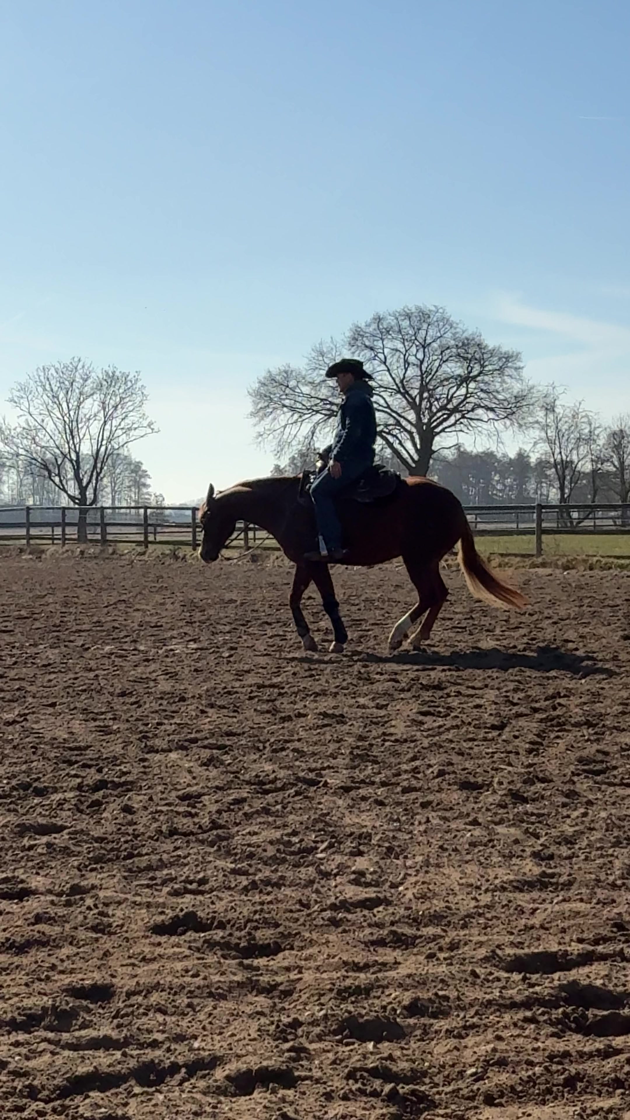 @Nebel Performance Horses